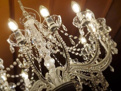 ミツバチ(MITSUBACHI)の写真