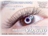 【新規/口コミ割☆フレアマツエク】ヒヨコのあんよラッシュ100束10980→9680