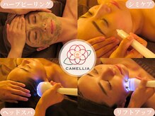 リラクビューティー カメリア(Camellia)の雰囲気（美肌メニュー勢ぞろい！肌質改善までサポート）