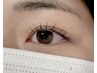 ご新規様限定☆フラットラッシュ80本