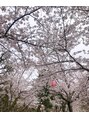 フレルト 山の手テラス(FLELT) 桜は大好きなお花の1つです。お花見は毎年の恒例行事です♪