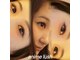 ステイゴールド(STAY GOLD)の写真