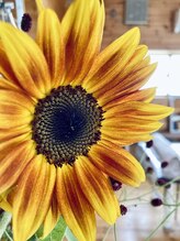 わたなべ整体院/