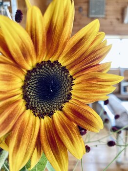 わたなべ整体院/