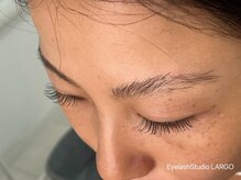 ラルゴ(LARGO)/フラットラッシュ120本