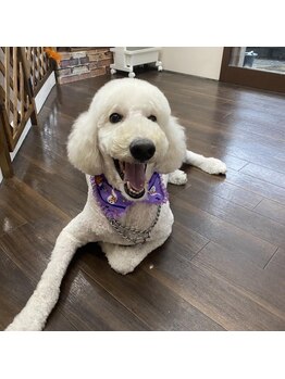 ラ メール(La mer)/La・mer看板犬☆