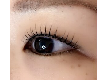 アイラッシュサロン ロロマ(loloma)/ラッシュリフト