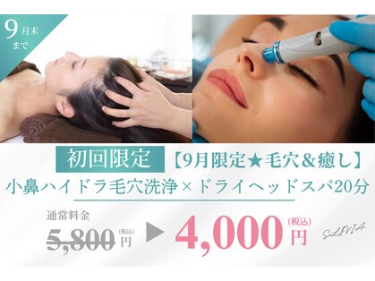 スリビア(SLIVIA)の写真