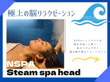 エヌスパ(NSPA)/１ ＮＳＰＡ Steam spa head