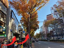 ローリーアイ 原宿/3.表参道駅や明治通り、東急へ