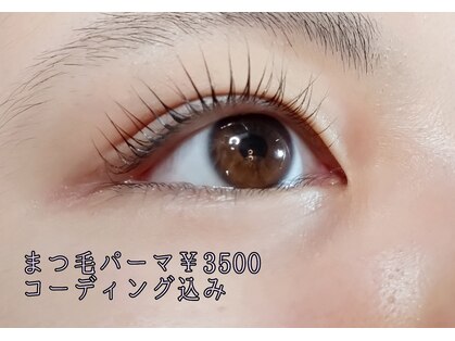 ベリー(Berry)の写真