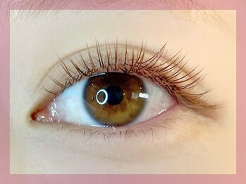 ミュウ(mieux)/ハイブリッドラッシュ*140束