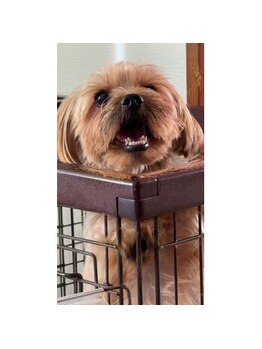 ポノサロン(pono salon)/アピールクロ