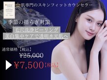 ジュエリースキン(JewelrySkin)