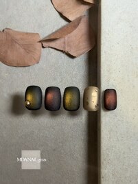 べっ甲collection