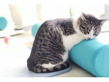 モイサ(MOISA)/一緒にエクササイズ？