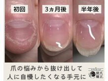 アトリエレポ