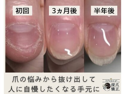 アトリエレポの写真