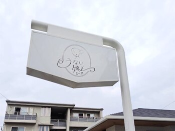 ミース 宮崎店/うなじ矯正専門店ミース宮崎店