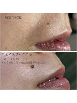 タジサスラッシュ(TAJISAS LASH)/フェイスワックス