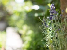 ラポーリア 白金台/厳選ハーブ
