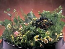 ヨサパーク ラニ 新札幌店(YOSA PARK Lani)/医薬部外品の厳選されたハーブ