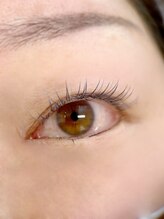 ムニ(muni)/LEDフラットラッシュ120本