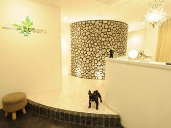 リラクゼーションサロン トトラ(totora)/心とカラダを癒す場所♪