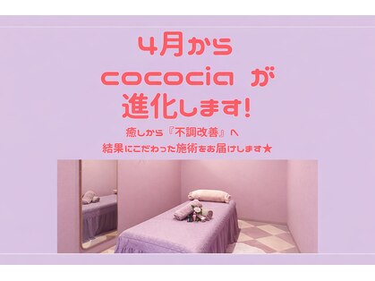 ココシア(cococia)の写真
