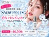 【豊川希少】毛穴・くすみ・ざらつき改善☆韓国肌管理SNOW PEELING
