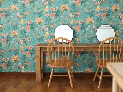 シュガー(Sugar)の写真