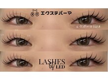 ウィート(WHeAT)/エクパーマ