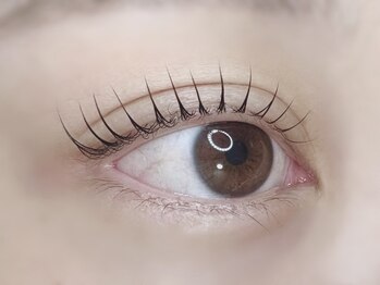 リモア(Re:more)/まつ毛パーマ