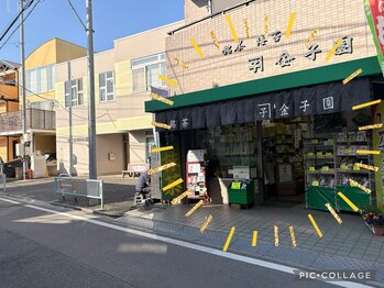 クレドジョワ(CL’E DE JOIE)/銘茶 金子園