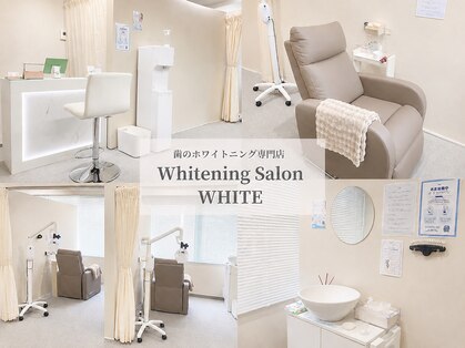 ホワイト(WHITE)の写真
