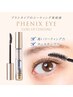【大人気】まつパ+美容液仕上げ&お持ち帰りコーティング剤付き