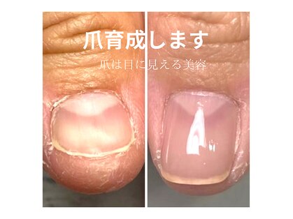 エルアンド(elle＆)の写真