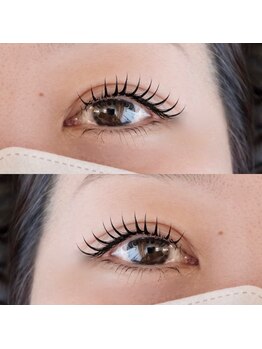 アイラッシュ ケイト(Eyelash Kate)/アンドヘルシー フラット120本