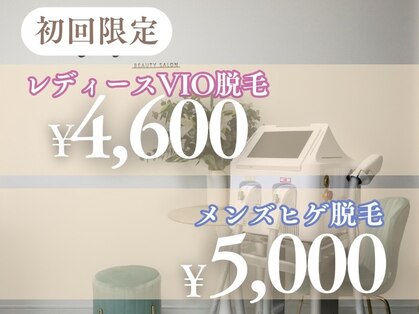 リッシュ(Lish)の写真