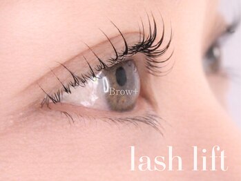 ブロウタス 新丸子店(BROW+)/まつげパーマ