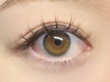 パキラ(Pachira)/ふわっと“ブラウンmix”