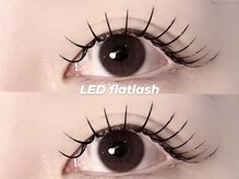 プラス ファースト(Plus 1st)/フラットラッシュ