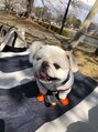 エムネイル(eM nail)&nbsp;白ペキニーズのBOMです♪いつもボーっとしてます。
