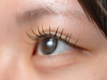 アーク(Arck)の写真/ナチュラル派には,[ラッシュリフト/まつ毛パーマ]★自然な美しさで印象的な目元を演出♪下まつ毛も有☆