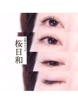 京都のまつげ 桜日和/