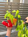 ジョリー(jolie) 家庭菜園で摂れたお野菜は最高に美味しい！バーベキューも大好き