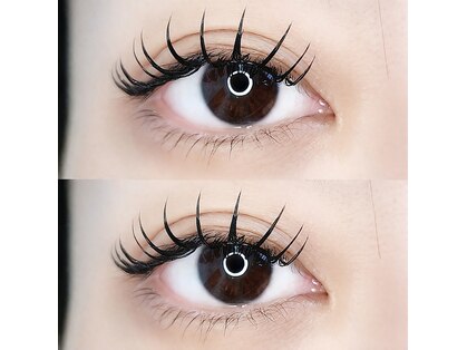 エミュ(E.m.u..)の写真