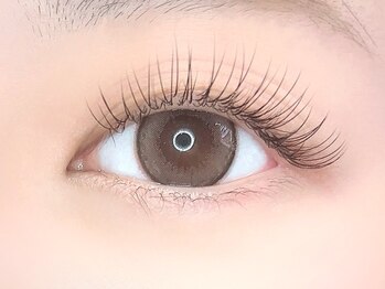 セクションプラス 吉祥寺(SECTION+)/マツエク フラットラッシュ60本