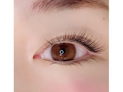 リフォイル(Refoile)の写真