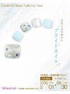 【全店共通】6月限定【フット】